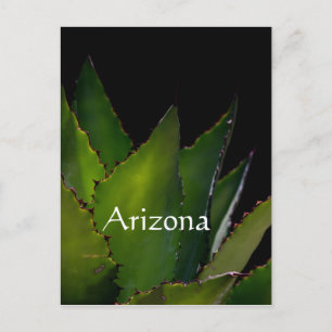 Carte Postale Agave éclairage Arizona