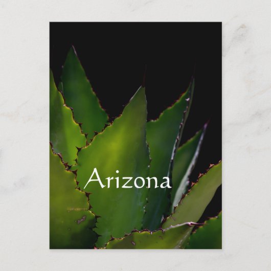 Carte Postale Agave éclairage Arizona (Devant)