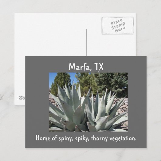 Carte Postale Agave Marfa, Texas (Devant / Derrière)