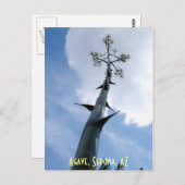 Carte Postale Agave, Sedona, AZ (Devant / Derrière)