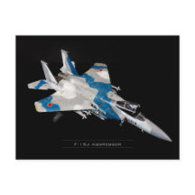 Agent F-15J