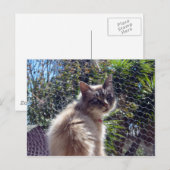 Carte Postale Aggie (Devant / Derrière)