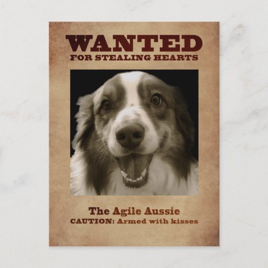 Carte Postale Agile Aussie (Devant)