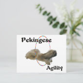 Carte Postale Agilité du Pékinois (Debout devant)