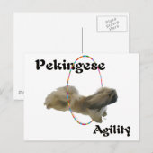 Carte Postale Agilité du Pékinois (Devant / Derrière)