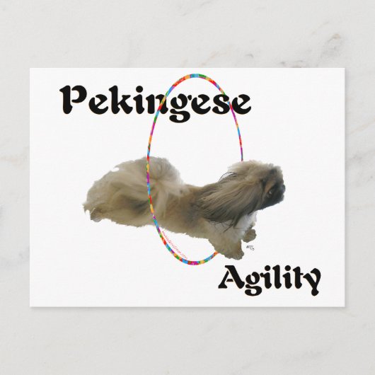 Carte Postale Agilité du Pékinois (Devant)