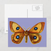 Carte Postale Aglia Tau (Devant / Derrière)