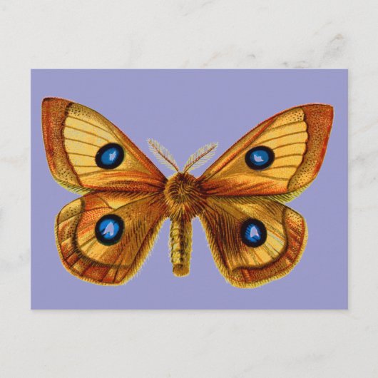 Carte Postale Aglia Tau (Devant)