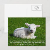 Carte Postale Agneau de Pâque, Ésaïe 53 (Devant / Derrière)