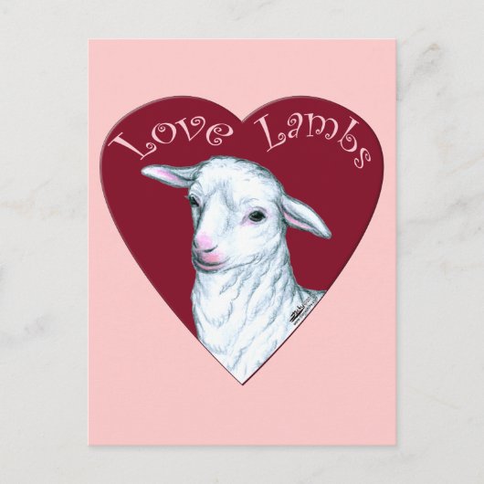 Carte Postale Agneaux d'amour (Devant)