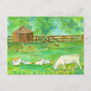 Carte Postale Agneaux de mouton Poulets Animaux de ferme Peintur