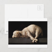 Carte Postale Agnus Dei par Francisco de Zurbaran (Devant / Derrière)