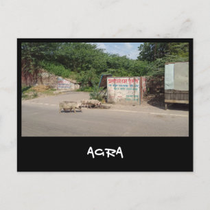 Carte Postale Agra, Uttar Pradesh (Inde)
