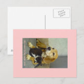 Carte Postale agréable (Devant / Derrière)