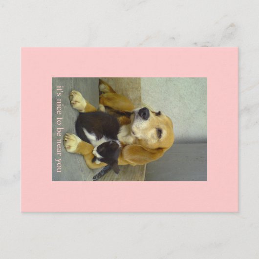 Carte Postale agréable (Devant)