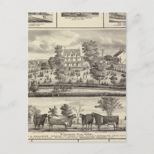 Carte Postale Agréable Hill Farm vagabonds à Decorah (Devant)