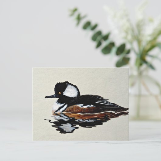 Carte Postale Agréateur à capuchon (Debout devant)