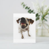 Carte Postale agressif (Debout devant)