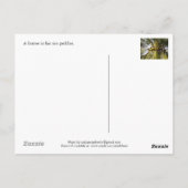 Carte Postale Agriculteur dans son champ à Preah Dak (Dos)