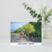 Carte Postale Agriculteur et vaches (Debout devant)