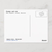 Carte Postale Agriculteur et vaches (Dos)