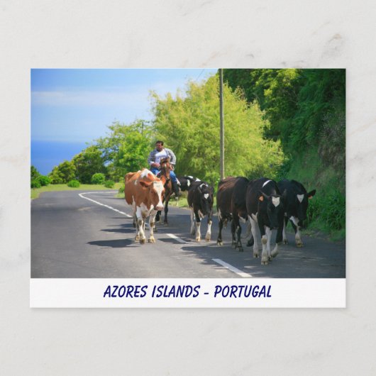 Carte Postale Agriculteur et vaches (Devant)