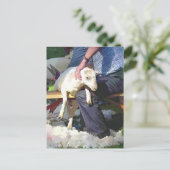 CARTE POSTALE AGRICULTURE (Debout devant)