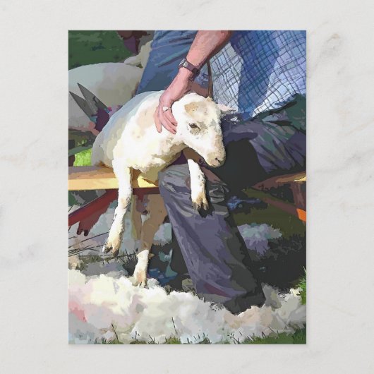 CARTE POSTALE AGRICULTURE (Devant)