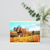 Carte Postale Agriculture vintage (Debout devant)