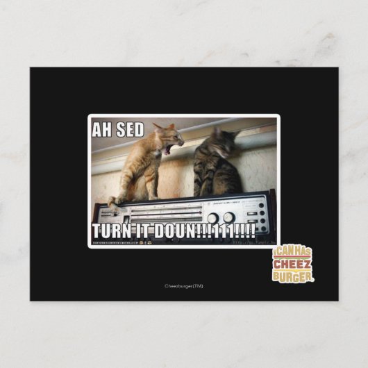 Carte Postale Ah Sed Baisse-le ! ! (Devant)