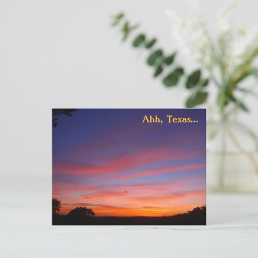 Carte Postale Ahh, Texas... (Debout devant)