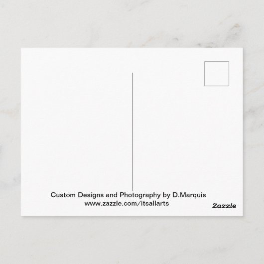 CARTE POSTALE AI DOLPHIN DESIGN #4 (Dos)