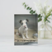 Carte Postale Ai-je l'air méchant pour toi ? (Debout devant)