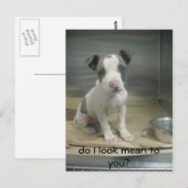 Carte Postale Ai-je l'air méchant pour toi ? (Devant / Derrière)