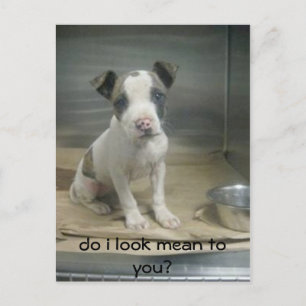 Carte Postale Ai-je l'air méchant pour toi ?