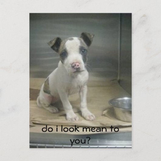 Carte Postale Ai-je l'air méchant pour toi ? (Devant)