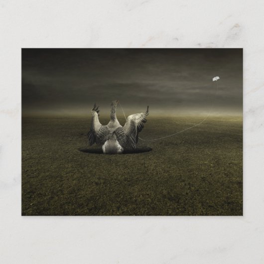 Carte Postale Aide sur le chemin 2013 (Devant)