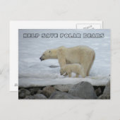 CARTE POSTALE AIDER À SAUVER LES OURS POLAIRES (Devant / Derrière)