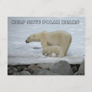 CARTE POSTALE AIDER À SAUVER LES OURS POLAIRES