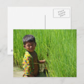 Carte Postale Aider dans les pâtes de riz (Devant / Derrière)