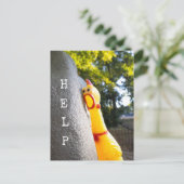 Carte Postale Aider Poulet en Caoutchouc (Debout devant)