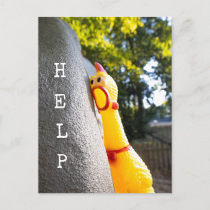 Carte Postale Aider Poulet en Caoutchouc