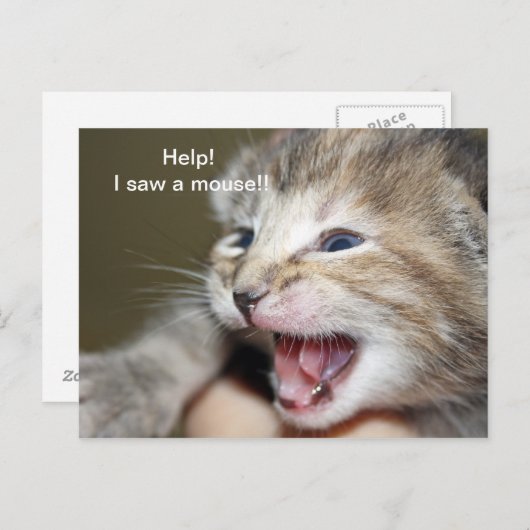 Carte Postale "Aidez-moi à voir une souris !" (Devant / Derrière)