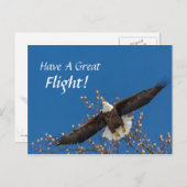 Carte Postale Aigle (Devant / Derrière)