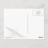 Carte Postale Aigle (Dos)