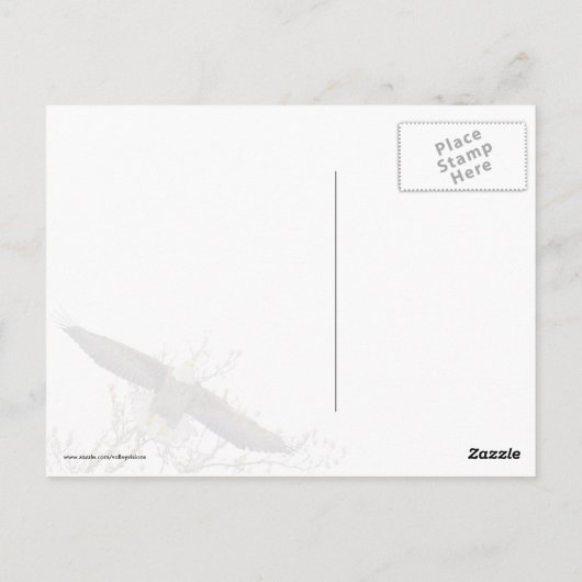 Carte Postale Aigle (Dos)