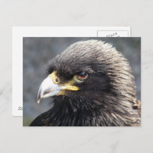 CARTE POSTALE AIGLE (Devant / Derrière)