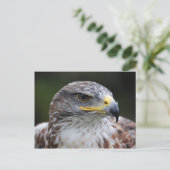 Carte Postale Aigle (Debout devant)