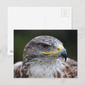 Carte Postale Aigle (Devant / Derrière)