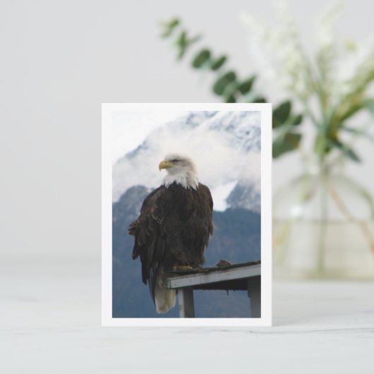 Carte Postale Aigle (Debout devant)